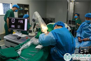 昆明军海脑科医院成功实施60余例机器人手术，为脑科疾病治疗开辟新天地