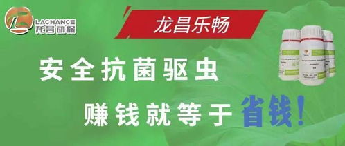 工厂化养殖对虾弧菌病的根本防控策略