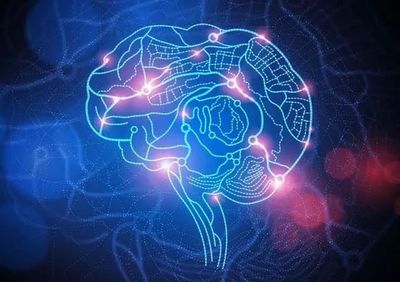 浙江大学回应“网红论文”争议 坚守学术标准，脑科疾病研究再引关注